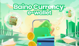 Understanding Baino Currency from A Beginner Perspectives